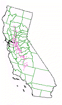 Approximate map of zip codes  where the Valley Grassland community exists in California - grid24_12
