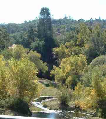 Looking south from  the old Las pilitas Bridge - grid24_12