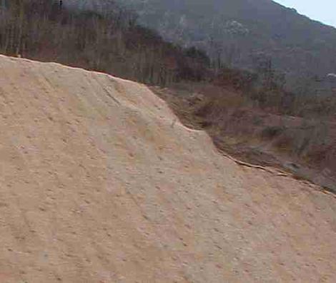 This straw blanket slid off of the this slope with the first good rain - grid24_12