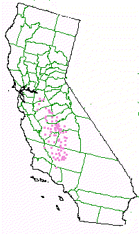 Approximate map of zip codes  where the Shadscale scrub community exists in California - grid24_12