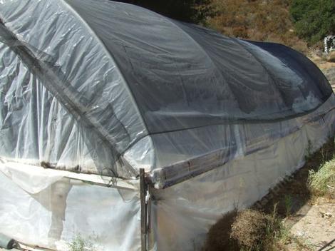 Side walls of the greenhouse. This greenhouse has metal hoops, poly and shade covering it. - grid24_12