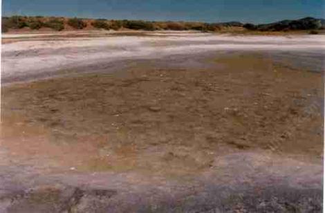 An Alkali sink when the rain makes a puddle. The salt accumulates on edges . - grid24_12