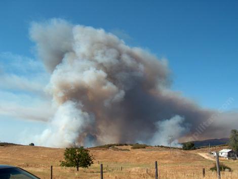 the dreaded fire smoke of california - grid24_12
