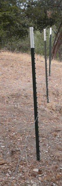 Metal tee posts with the first strand of barbless wire.  Bottom strand can be used to line up posts. - grid24_12