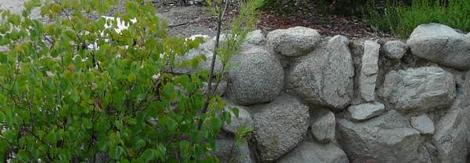 rock wall with cement and wire behind it. No cracks! - grid24_12