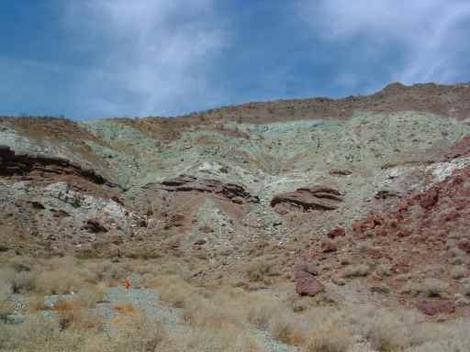 Some of the harsh areas along the east side of the Sierra Nevada mountains are even drier then the regular desert. Soils are alkaline and hard. - grid24_12