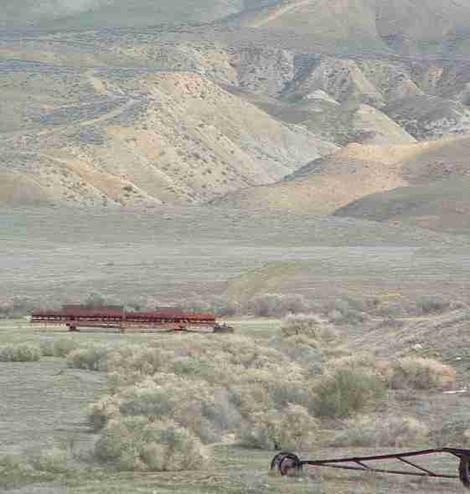 Shadscale scrub out on the eastern side of Carrizo Plais - grid24_12