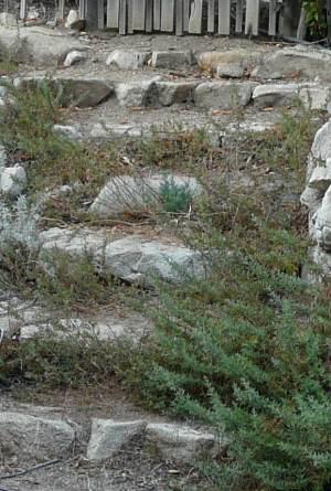 concrete rock steps forming a sideways rock wall - grid24_12