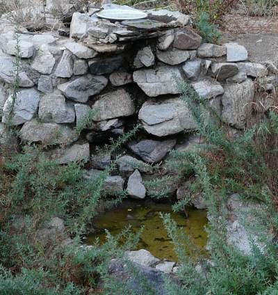 rock wall with two bird bath and a little bird pond - grid24_12