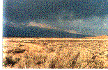 an old photo of Big Basin Sage plant community - grid24_12 an old photo of Big Basin Sage plant community - grid24_12