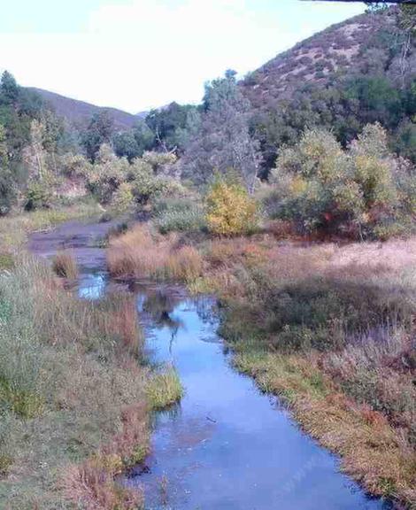 The Salinas River at Las Pilitas Rd. The riparian area is all within the photo. - grid24_12