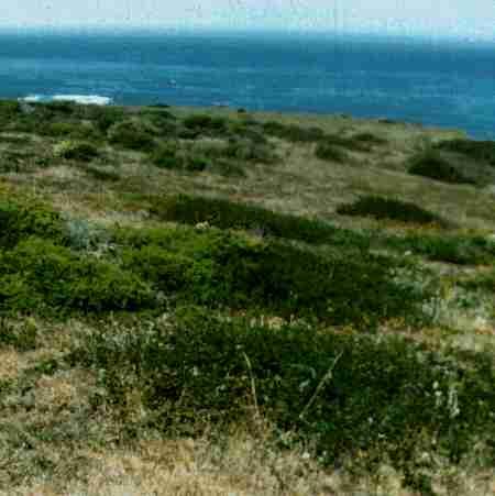 The coastal bluffs south of Big Sur. - grid24_12