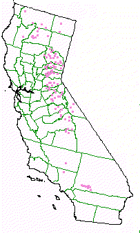 Approximate map of zip codes  where the Yellow Pine Forest community exists in California - grid24_12