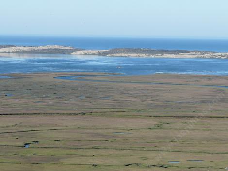 Coastal Salt Marsh in Baywood-Morro Bay - grid24_12