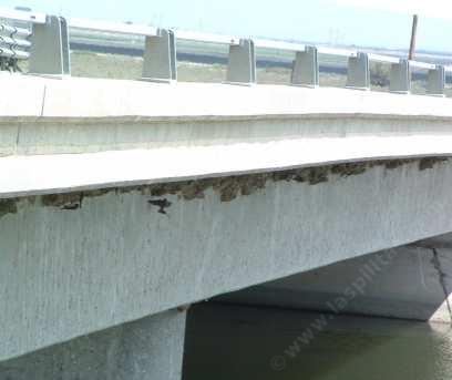 Swallows nesting under a bridge - grid24_12