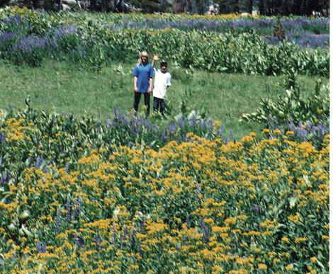 Ian and Penny out in a Sierra meadow in maybe 1989 - grid24_12