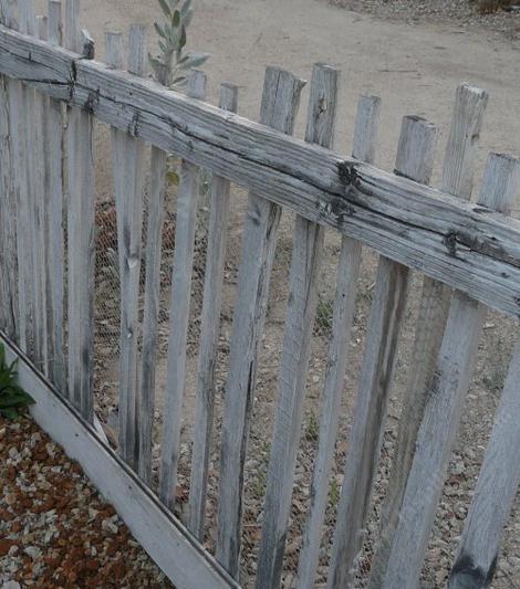 A fence made of   scrap wood, unless it is your junk fence, then it is your creative 'free' expression. - grid24_12