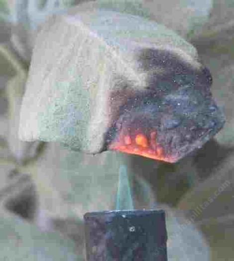 This is how the flame test was applied. 1 cm. from leaf, time when the leaf will sustain flame without torch. - grid24_12