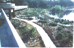 An old picture of the Kern Water agency planting. - grid24_12