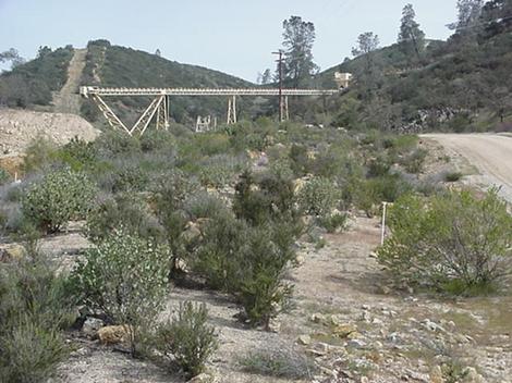 A no water restoration in Astacadero - grid24_12