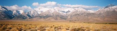 Sage brush community in Owens Valley, the plants are native Rabbit Brush and Big Basin Sage. - grid24_12