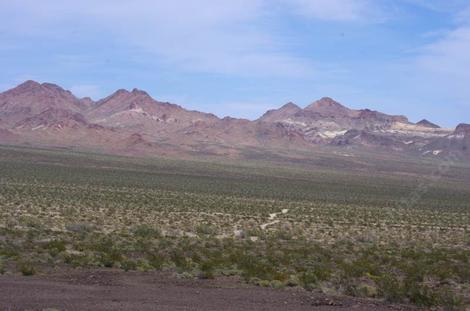 Creosote woodland Barstow - grid24_12