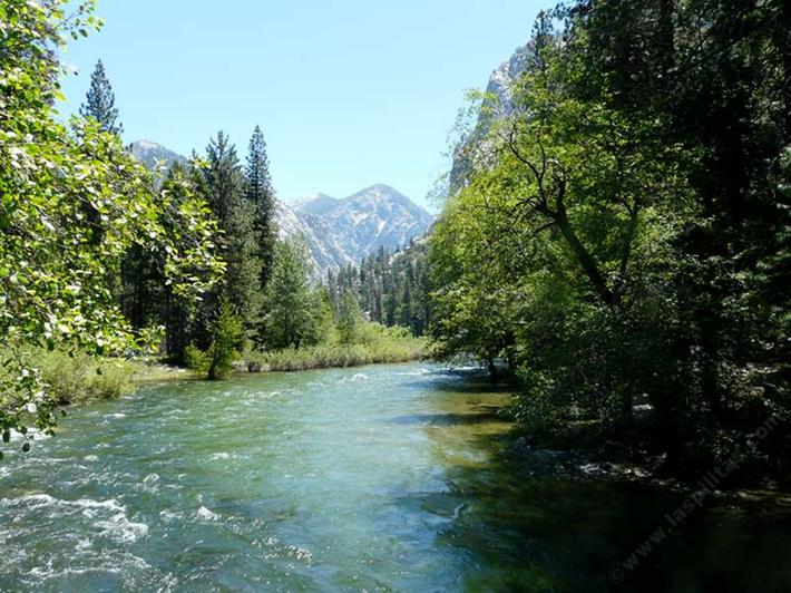 California riparian areas are quite different than most of California.