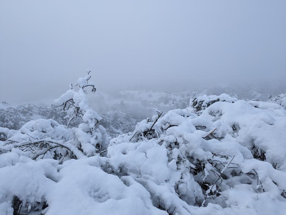 Snow in 2023