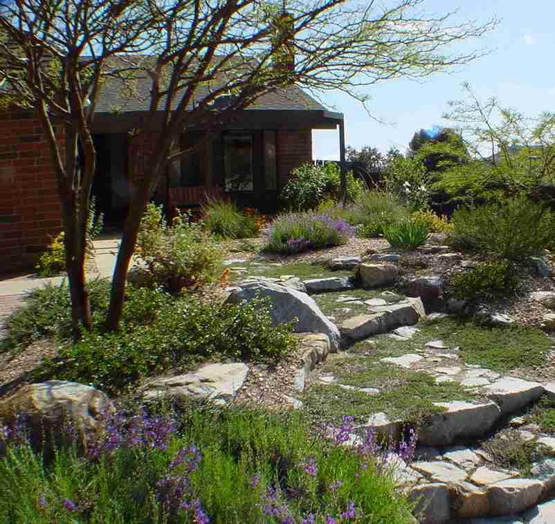 California native plant garden examples