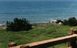 Baccarhis Pigeon Point.