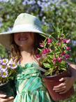 Bert's granddaughter, Lily holding Bert's Raspberry monkey flower and 'Wayne Rodrick' seaside Daisy.  - grid24_24