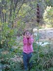 Lily poses next to the flower of a Powerline Pink Hummingbird Sage - grid24_24