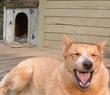 Harry Yawning, Scary Harry