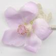 Malacothamnus fasciculatus,  Bush mallow flowers are loved by the native bees and ranges from Malibu to the edge of the desert and through much of Southern California.