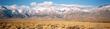 Sage brush community in Owens Valley, the plants are native Rabbit Brush and Big Basin Sage. - grid24_24