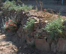Dry stack rock wall with California  native plants - grid24_6